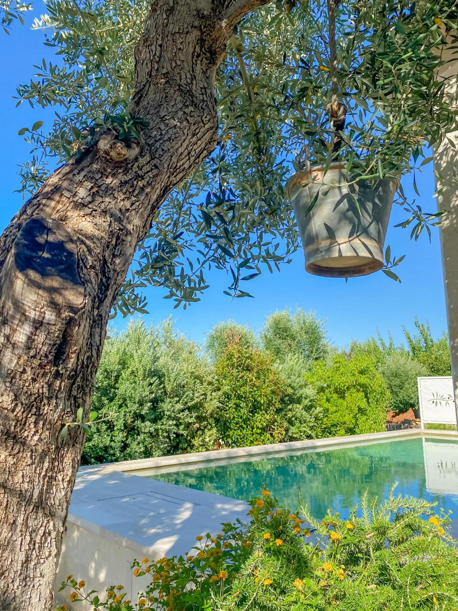La Mignola Villa Fasano Kültér fotó